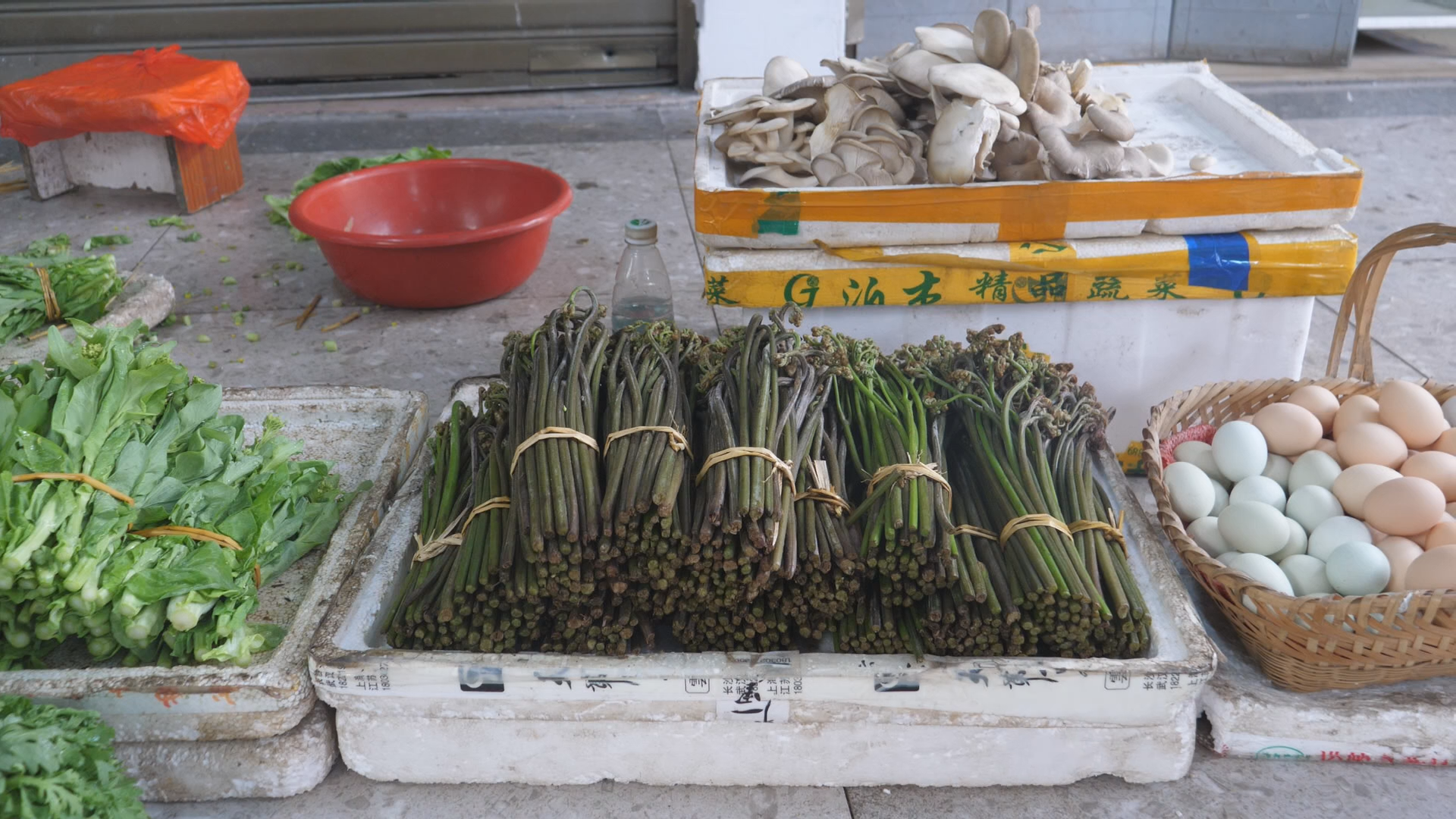 蕨菜市场调研