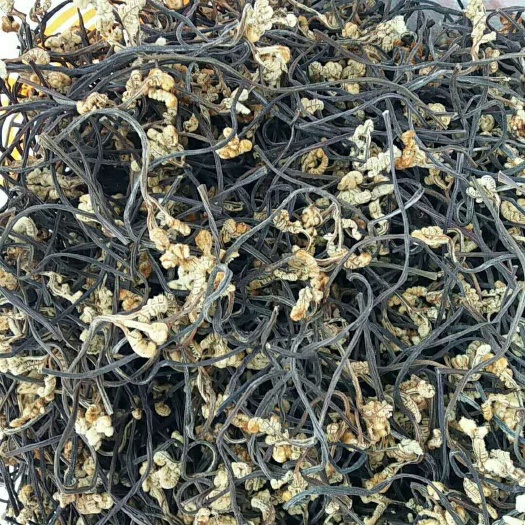 蕨菜功能区域规划