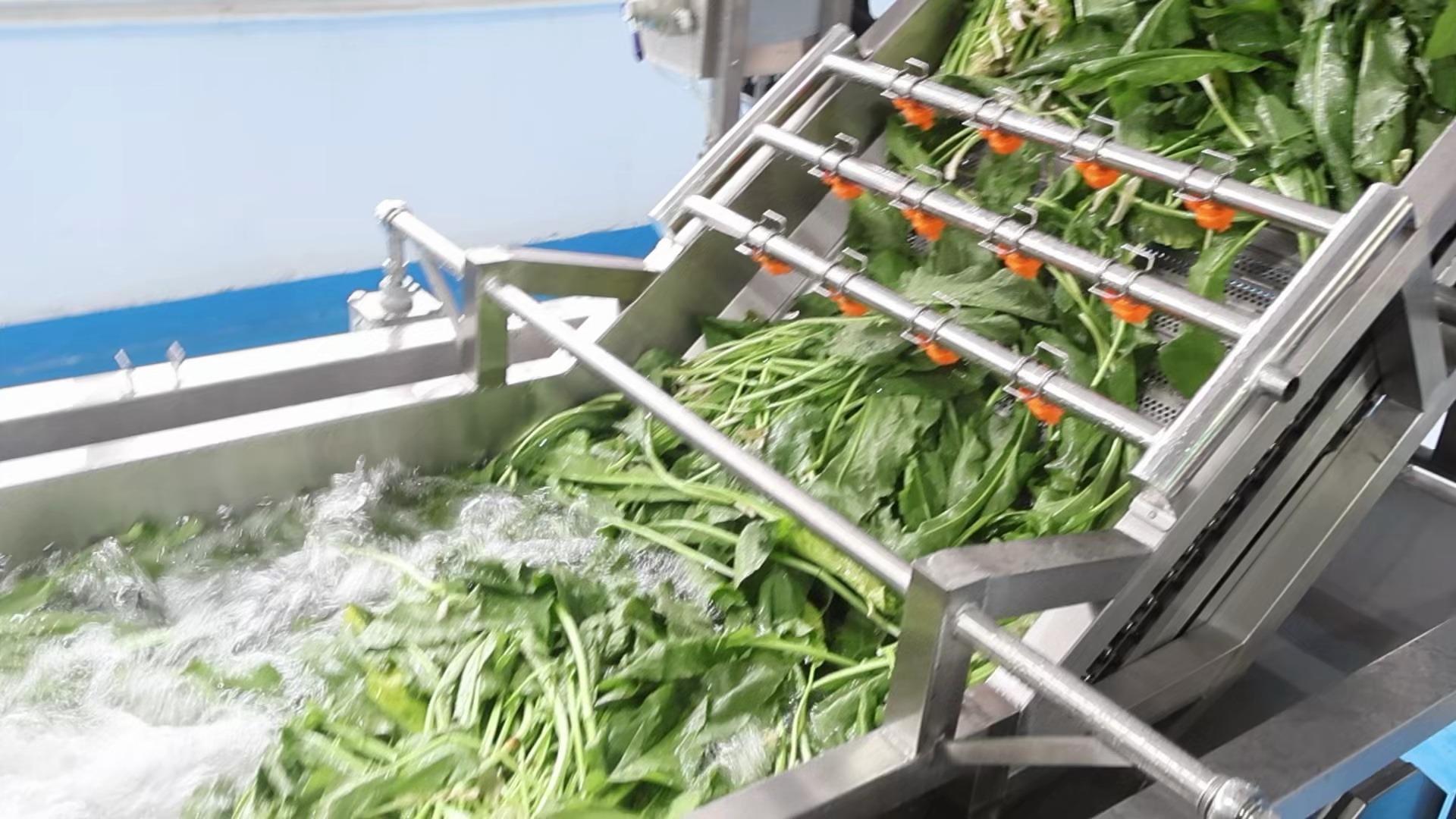 预制菜加工生产线设备数量、功能及价格详解​