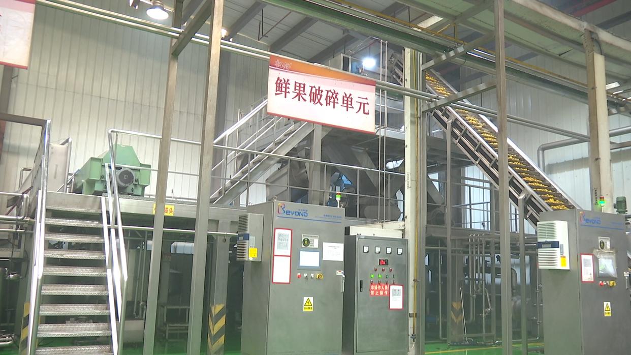 水城区：企业“锁鲜”压榨生产忙，精深加工助力刺梨“身价倍增”(图2)