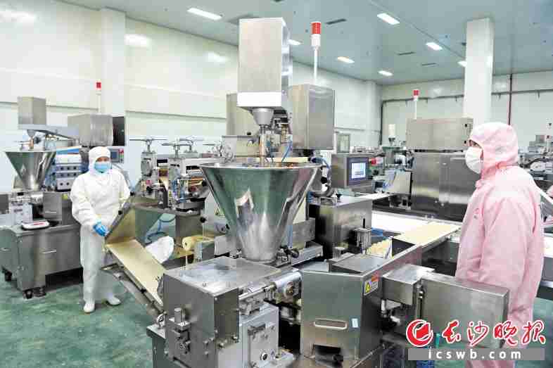 大型全自动速冻流水线的新鲜守护之道(图5)